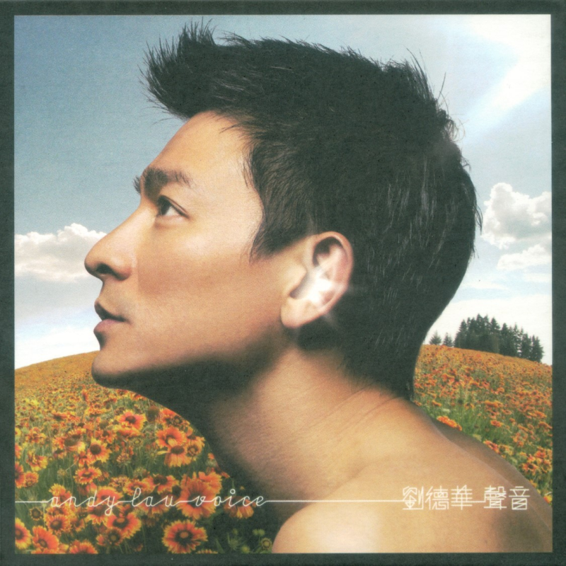 刘德华 – 声音 (限量庆功版) 2006 [DVD ISO 1.63GB]-无损音乐/蓝光演唱会