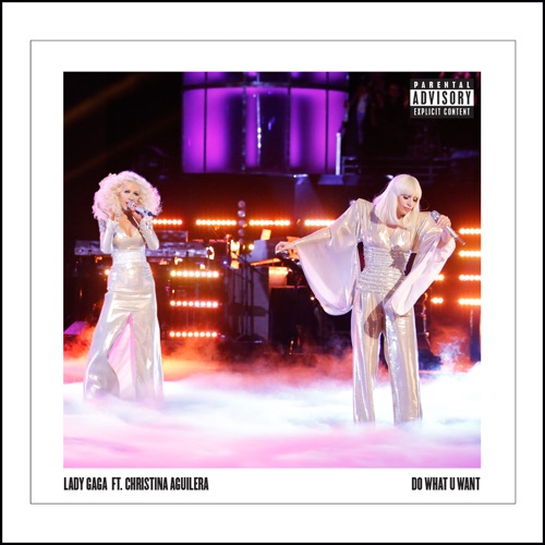 Do What U Want (feat. Christina Aguilera) – Single – Lady Gaga-无损音乐