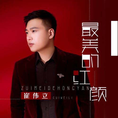 崔伟立单曲合辑-无损音乐