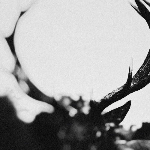 IHSAHN (Orchestral Version) – Ihsahn IHSAHN (Orchestral Version) – Ihsahn