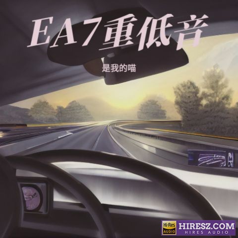 《刺 车载DJ 84曲 192Khz/24bit 母带音质》 Hi-Res无损专辑-无损音乐