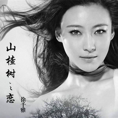 山楂树之恋 – Single – 徐千雅-无损音乐