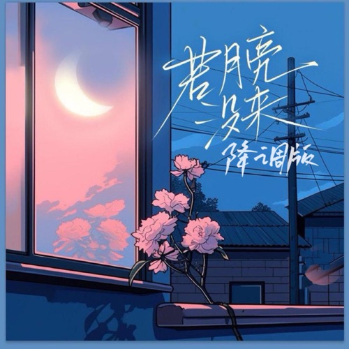 若月亮没来 (降速版) – Single – 杨宗纬, 宝石Gem & 王宇宙Leto-无损音乐
