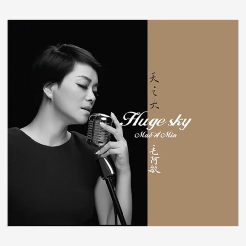 天之大 – Single – 毛阿敏-无损音乐