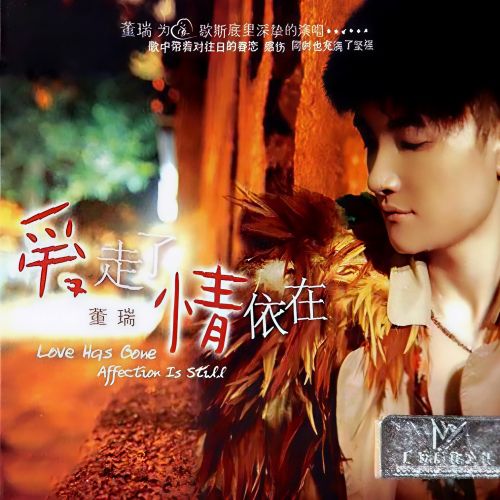 爱走了情依在 – 董瑞 [5.1声道]-无损音乐