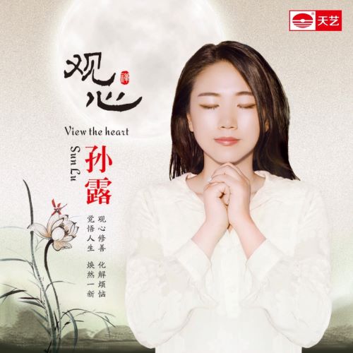孙露 观·心-无损音乐