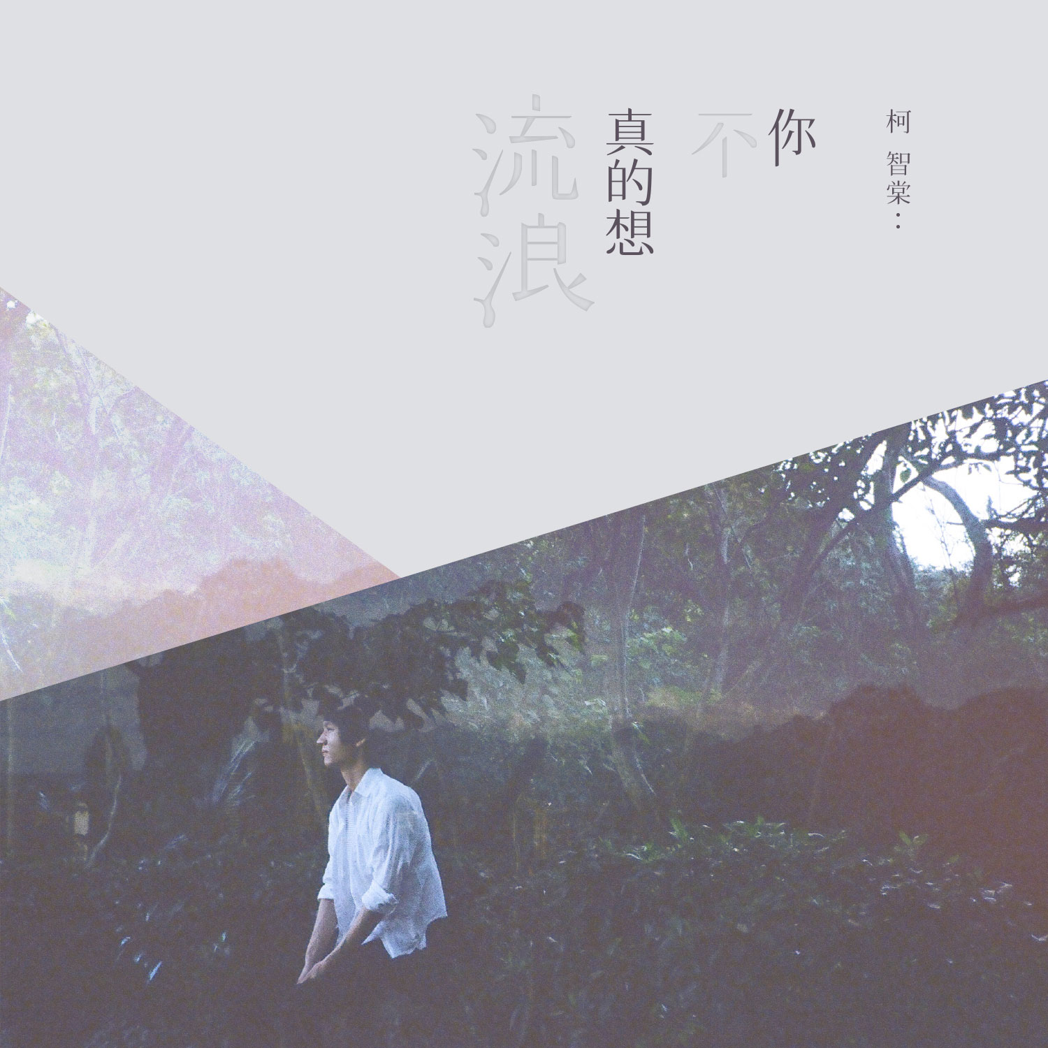 柯智棠 - 你不真的想流浪 2015 [24Bit/96Khz] [Hi-Res Flac 1GB]