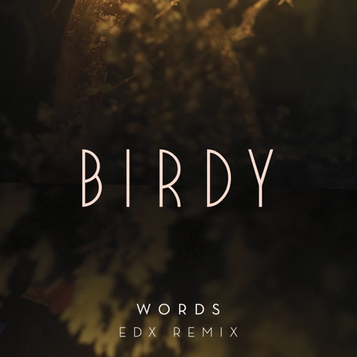 Words (EDX Remix) – Single – Birdy-无损音乐