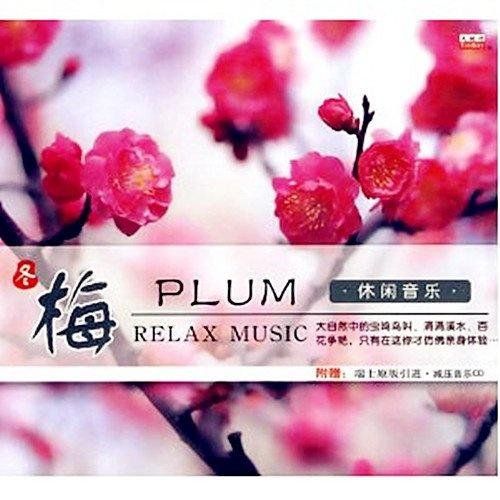 休闲音乐·梅 – 群星 [5.1声道]-无损音乐