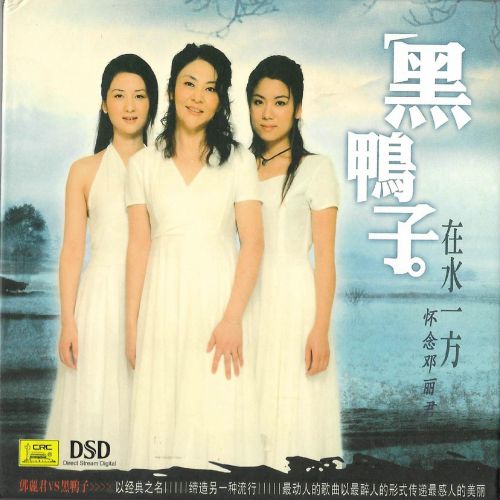 在水一方 – 黑鸭子 [5.1声道]-无损音乐