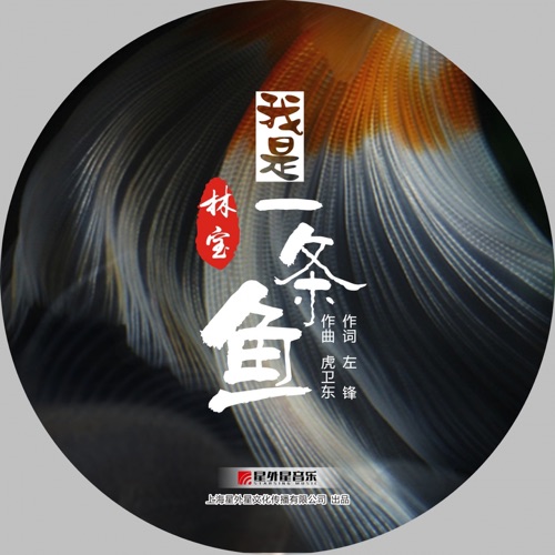 我是一条鱼 – Single – 林宝-无损音乐
