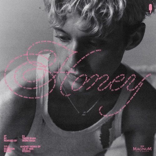 Honey (Remixes) – Single – Troye Sivan-无损音乐