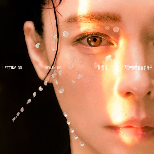 徐若瑄 不爱自己现在的样子 (影集《华丽计程车行》片尾曲) – Single-无损音乐/蓝光演唱会