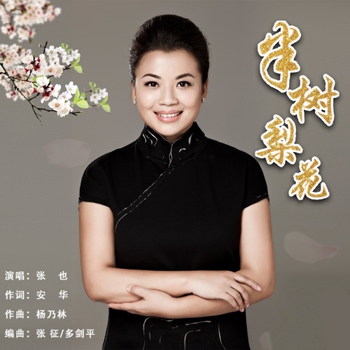 半树梨花 – Single – 张也-无损音乐