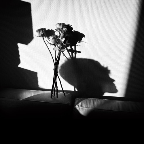 愚人节快乐 – Single – 卢广仲-无损音乐
