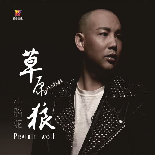 草原狼Ⅰ – 小骆驼 [5.1声道]-无损音乐