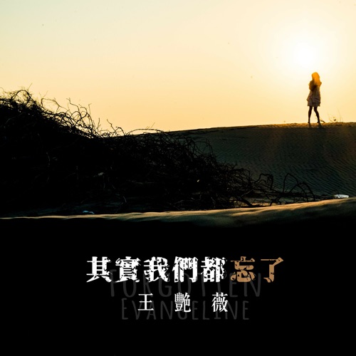 其实我们都忘了 – Single – 王艳薇-无损音乐