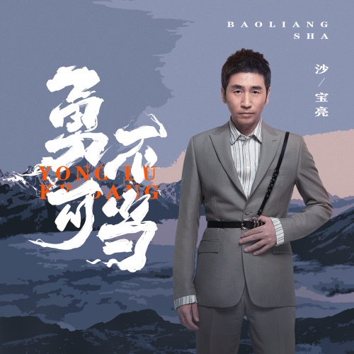 勇不可当 – Single – 沙宝亮-无损音乐