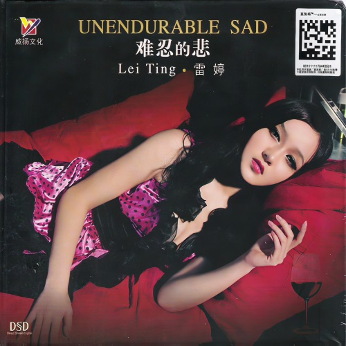 难忍的悲 – 雷婷-无损音乐