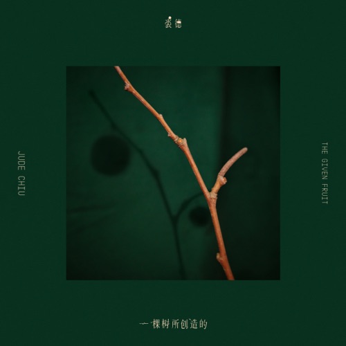 一棵樹所創造的 – Single – 裘德-无损音乐