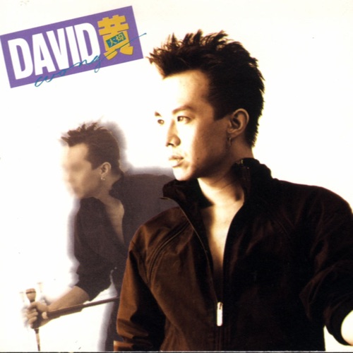 David 黄 – 黄大炜-无损音乐/蓝光演唱会
