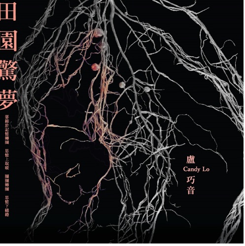 田园惊梦 – Single – 卢巧音-无损音乐