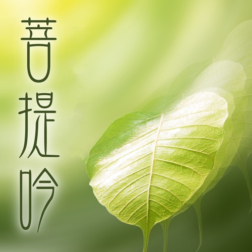 菩提吟 – 贵族乐团-无损音乐
