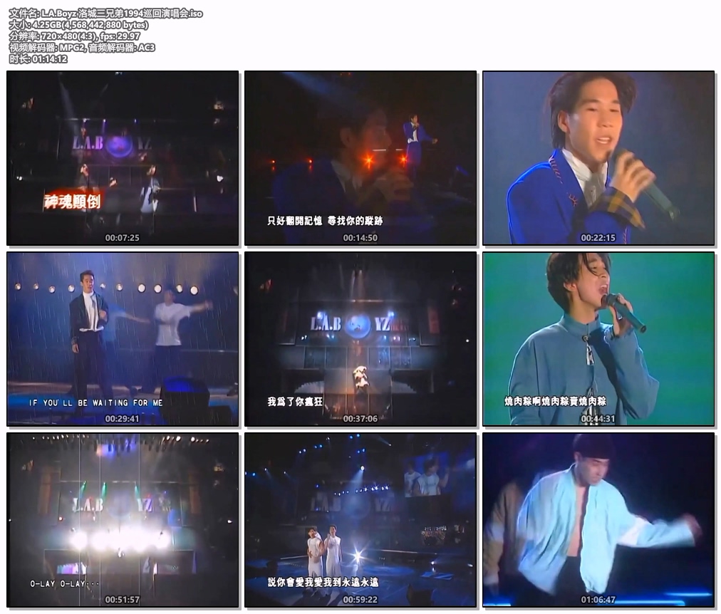 《L.A.Boyz 洛城三兄弟巡回演唱会》 1994 演唱会 [DVD ISO 4.25G]