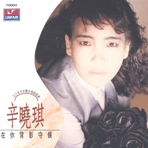 在你背影守候 – 辛晓琪-无损音乐