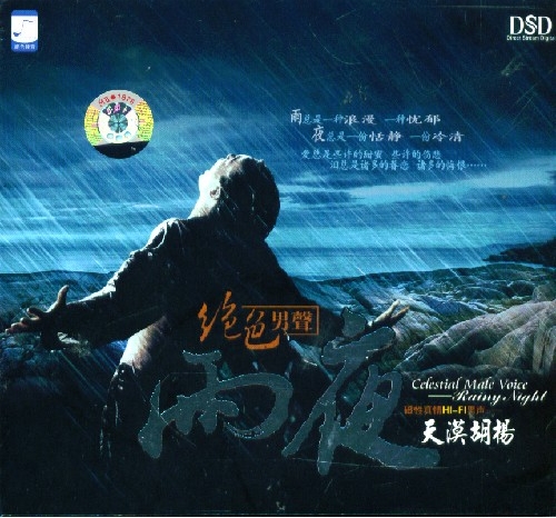 雨夜 – 天漠胡杨 [6.1声道]-无损音乐
