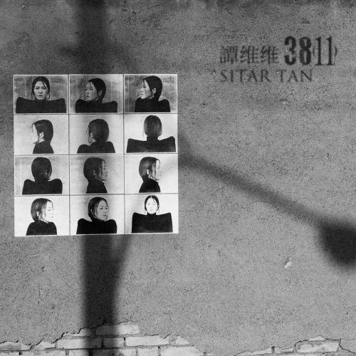 谭维维 3811-无损音乐