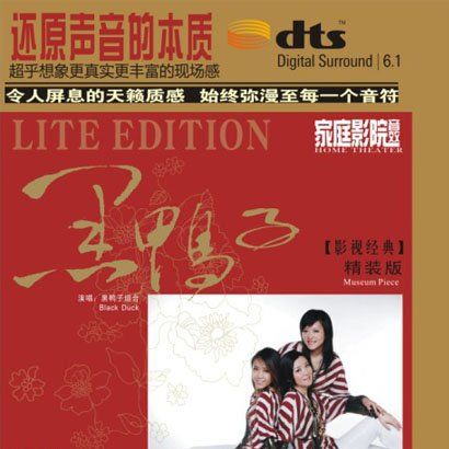 影视经典一 – 黑鸭子 [6.1声道]-无损音乐