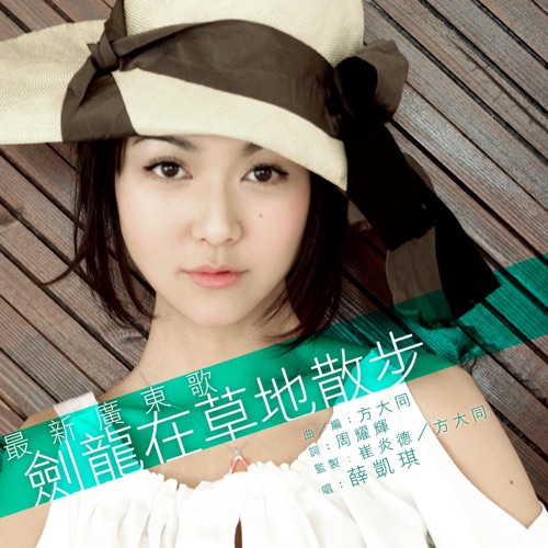 剑龙在草地散步 – Single – 薛凯琪-无损音乐