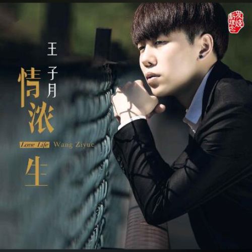 情浓一生 – 王子月 [6.1声道]-无损音乐