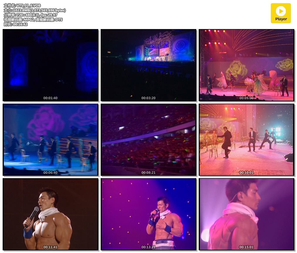 刘德华 Andy Lau Vision Tour 2004 《2005 幻影中国巡回演唱会 港台版卡拉OK+LIVE+Bonus》 2004 演唱会 [3DVD ISO]
