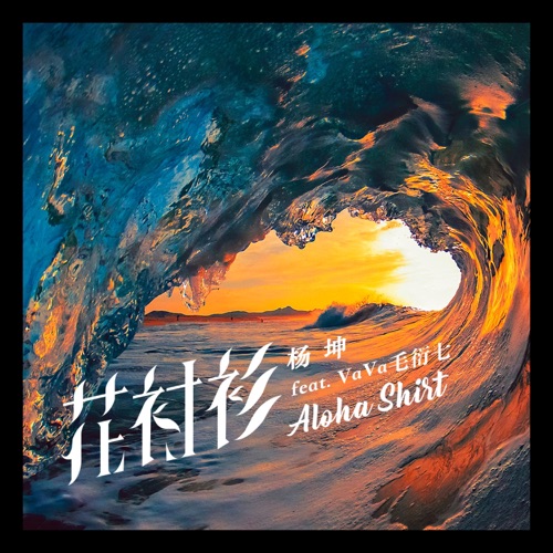 花衬衫 (feat. VaVa毛衍七) – Single – 杨坤-无损音乐