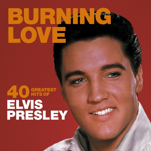 Burning Love: 40 Greatest Hits of Elvis Presley – Elvis Presley-无损音乐