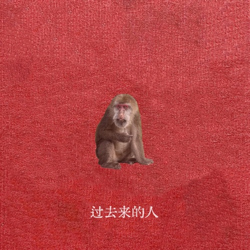 过去来的人 – Single – 刘森-无损音乐