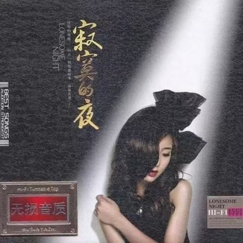 孙露 寂寞的夜-无损音乐