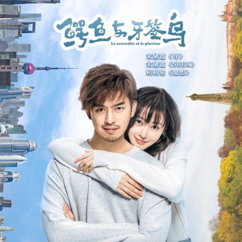 《鳄鱼与牙签鸟》电视剧插曲 – Single – 宋黛霆-无损音乐