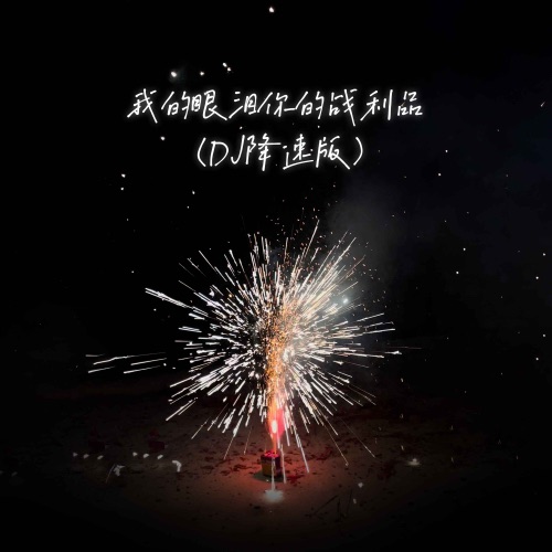 我的眼泪你的战利品 (DJ降速版) – Single – 于冬然-无损音乐