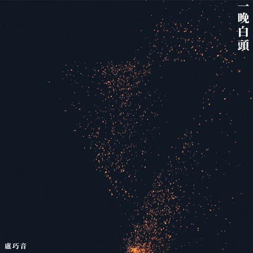 一晚白头 (Rock Version) – Single – 卢巧音-无损音乐