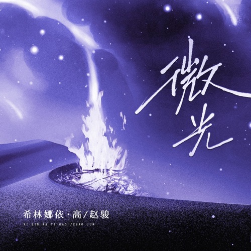 微光 (合唱版) – Single – 希林娜依高 & 赵骏-无损音乐