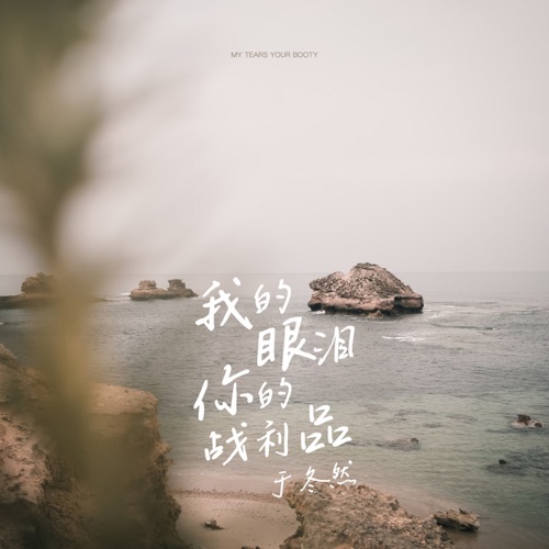 我的眼泪你的战利品 (DJ沈念版) – Single – 于冬然-无损音乐