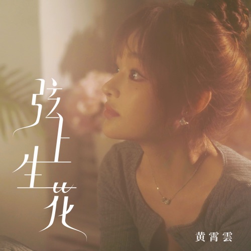 弦上生花 – Single – 黄霄雲-无损音乐