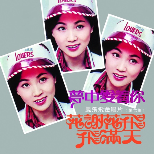 梦中爱着你 – 凤飞飞-无损音乐