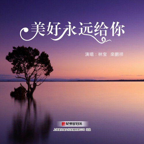 美好永远给你 – Single – 林宝 & 栾鹏翔-无损音乐