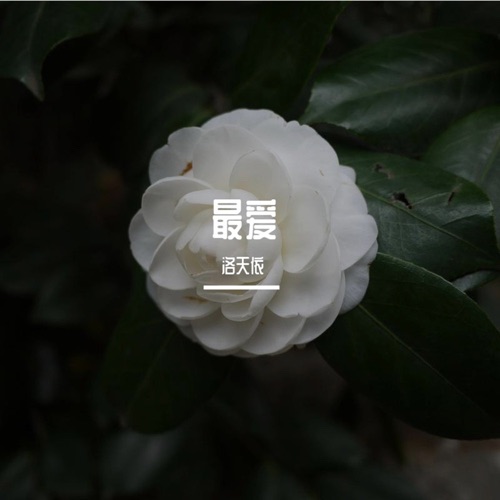 最爱 – Single – 洛天依-无损音乐