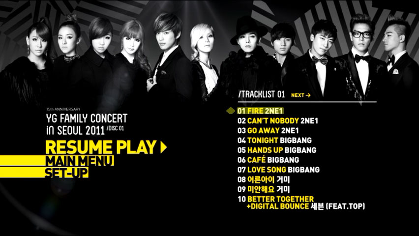YG Family 《YG Family Concert in Seoul》 2011 演唱会 [3DVD ISO 17.2GB]