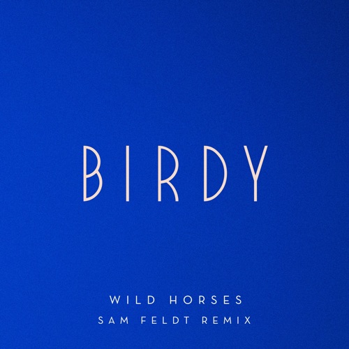 Wild Horses (Sam Feldt Remix) – Single – Birdy-无损音乐